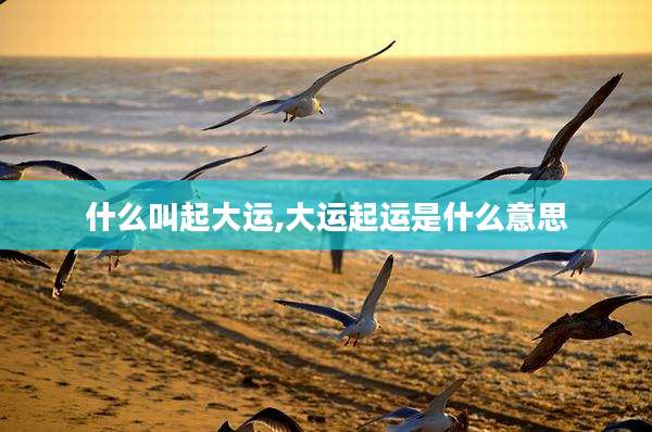 什么叫起大运,大运起运是什么意思