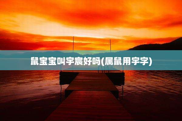 鼠宝宝叫宇宸好吗(属鼠用宇字)