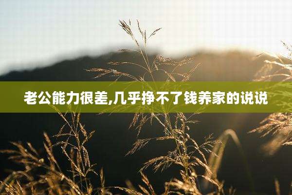 老公能力很差,几乎挣不了钱养家的说说