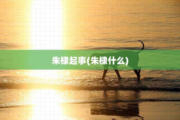 朱棣起事(朱棣什么)