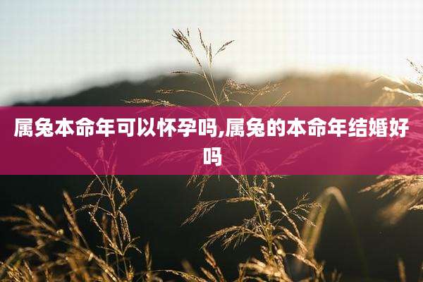 属兔本命年可以怀孕吗,属兔的本命年结婚好吗