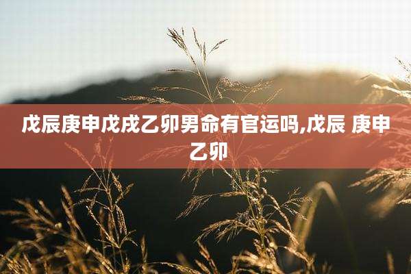 戊辰庚申戊戌乙卯男命有官运吗,戊辰 庚申 乙卯