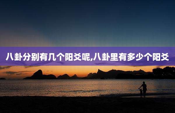 八卦分别有几个阳爻呢,八卦里有多少个阳爻