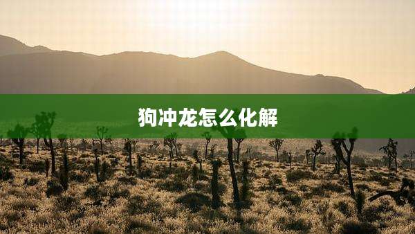 狗冲龙怎么化解