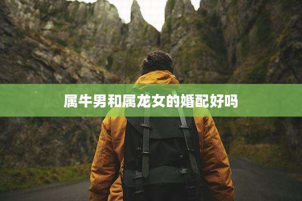 属牛男和属龙女的婚配好吗