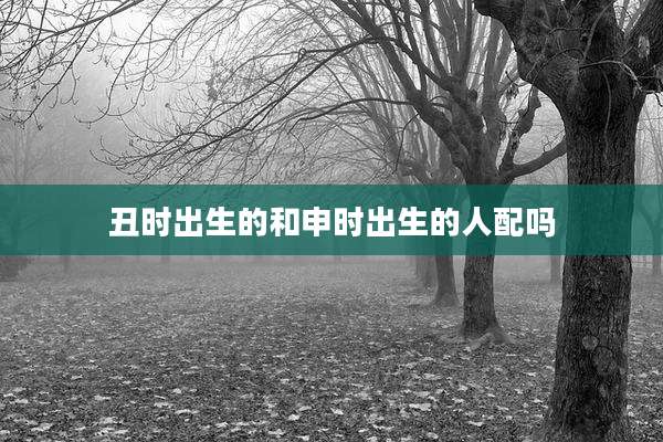 丑时出生的和申时出生的人配吗