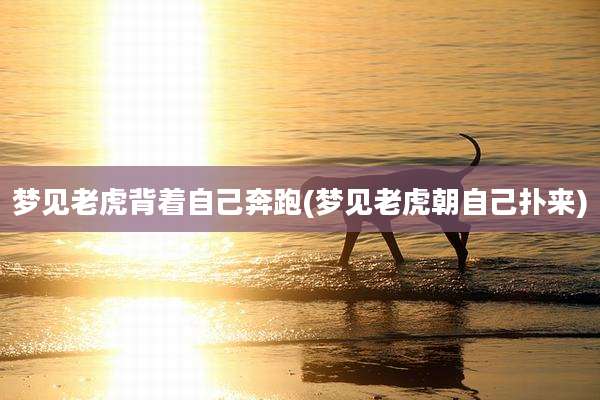 梦见老虎背着自己奔跑(梦见老虎朝自己扑来)