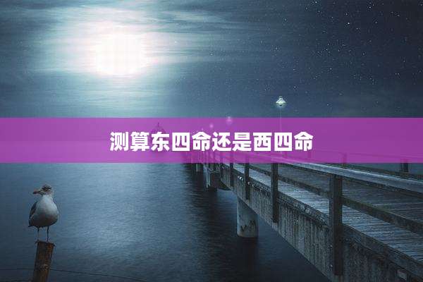 测算东四命还是西四命