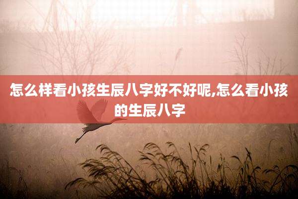 怎么样看小孩生辰八字好不好呢,怎么看小孩的生辰八字