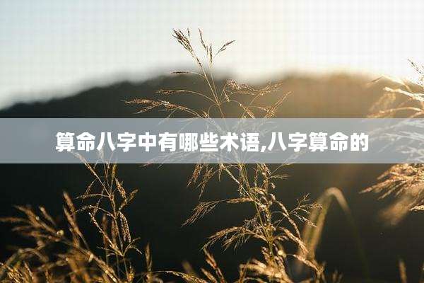 算命八字中有哪些术语,八字算命的