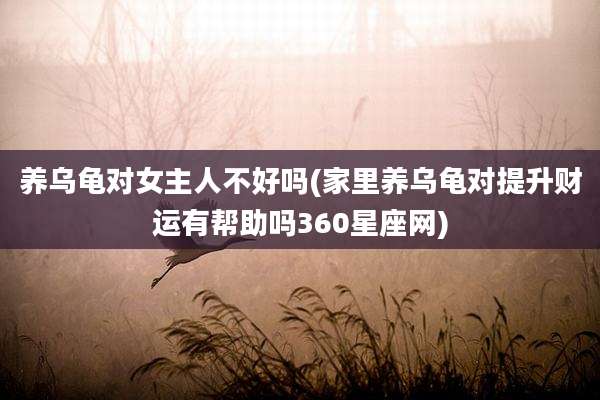 养乌龟对女主人不好吗(家里养乌龟对提升财运有帮助吗360星座网)