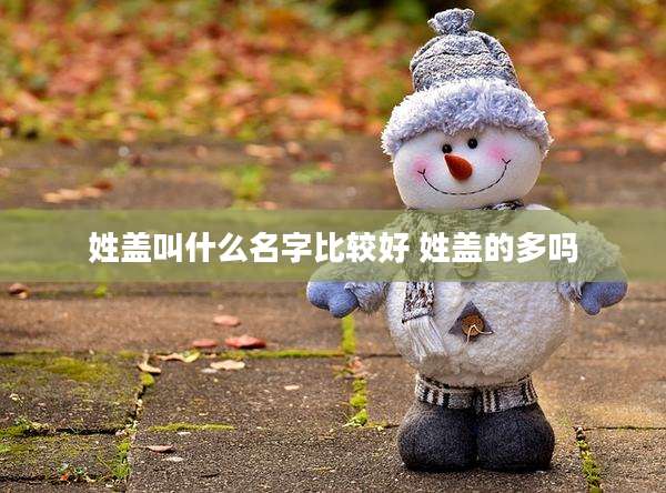 姓盖叫什么名字比较好 姓盖的多吗