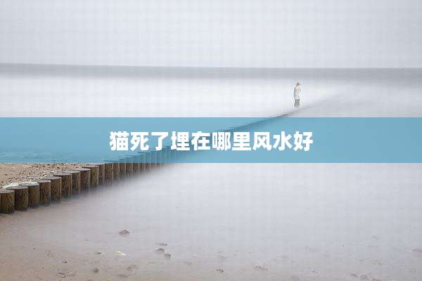 猫死了埋在哪里风水好