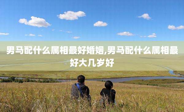 男马配什么属相最好婚姻,男马配什么属相最好大几岁好