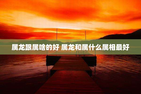 属龙跟属啥的好 属龙和属什么属相最好
