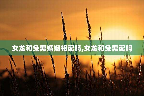 女龙和兔男婚姻相配吗,女龙和兔男配吗