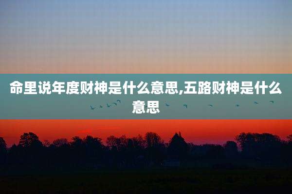 命里说年度财神是什么意思,五路财神是什么意思