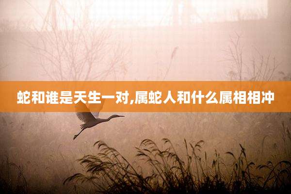 蛇和谁是天生一对,属蛇人和什么属相相冲