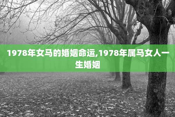 1978年女马的婚姻命运,1978年属马女人一生婚姻