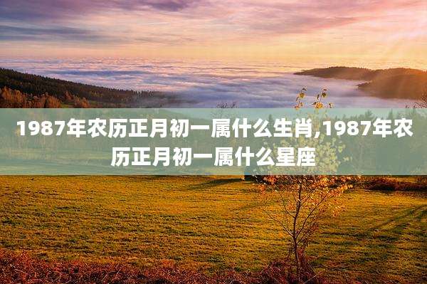 1987年农历正月初一属什么生肖,1987年农历正月初一属什么星座