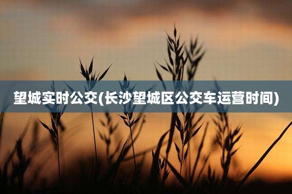 望城实时公交(长沙望城区公交车运营时间)