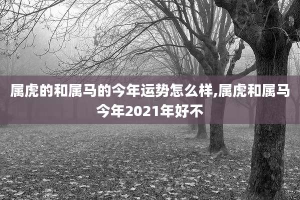 属虎的和属马的今年运势怎么样,属虎和属马今年2021年好不