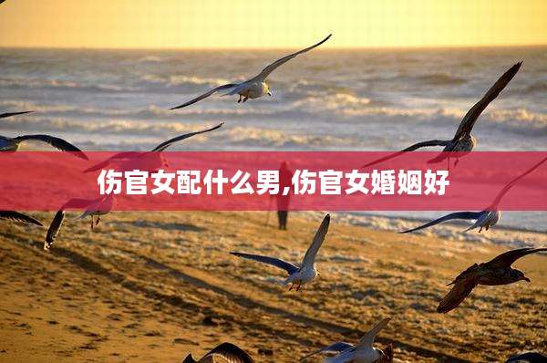 伤官女配什么男,伤官女婚姻好