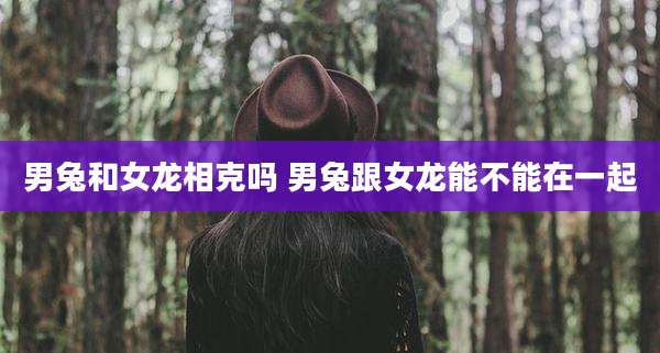男兔和女龙相克吗 男兔跟女龙能不能在一起