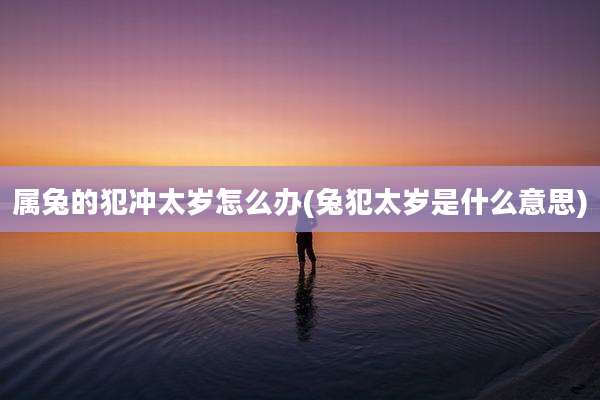 属兔的犯冲太岁怎么办(兔犯太岁是什么意思)