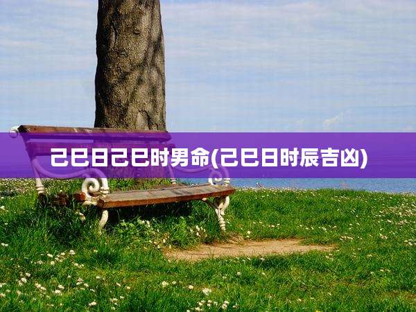 己巳日己巳时男命(己巳日时辰吉凶)