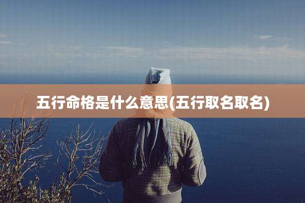 五行命格是什么意思(五行取名取名)