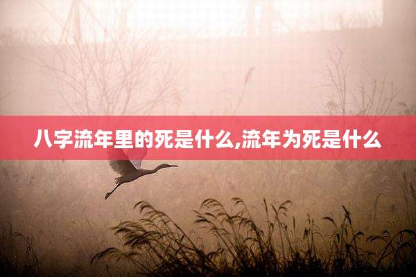 八字流年里的死是什么,流年为死是什么