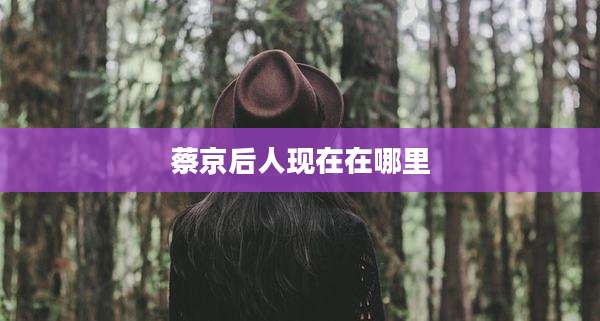 蔡京后人现在在哪里