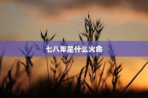 七八年是什么火命