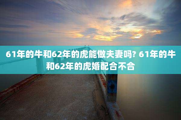 61年的牛和62年的虎能做夫妻吗? 61年的牛和62年的虎婚配合不合