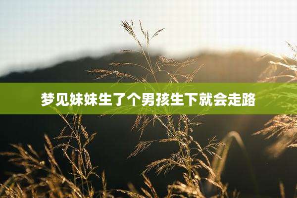 梦见妹妹生了个男孩生下就会走路