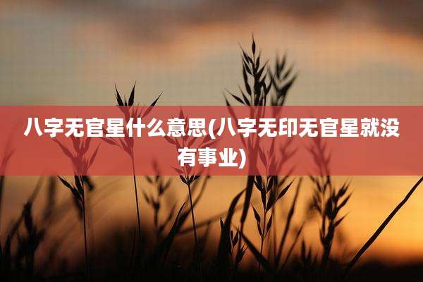 八字无官星什么意思(八字无印无官星就没有事业)