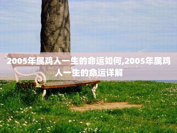 2005年属鸡人一生的命运如何,2005年属鸡人一生的命运详解