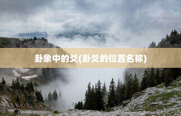 卦象中的爻(卦爻的位置名称)