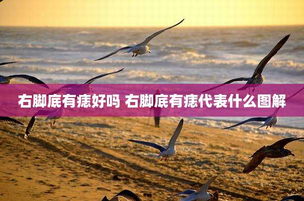 右脚底有痣好吗 右脚底有痣代表什么图解