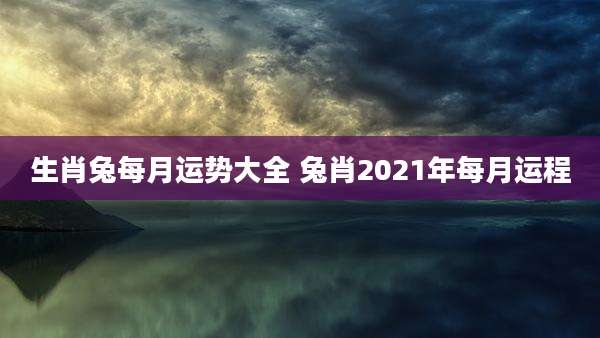 生肖兔每月运势大全 兔肖2021年每月运程
