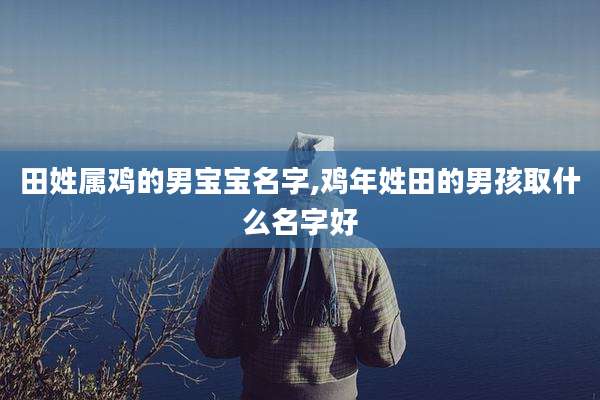 田姓属鸡的男宝宝名字,鸡年姓田的男孩取什么名字好