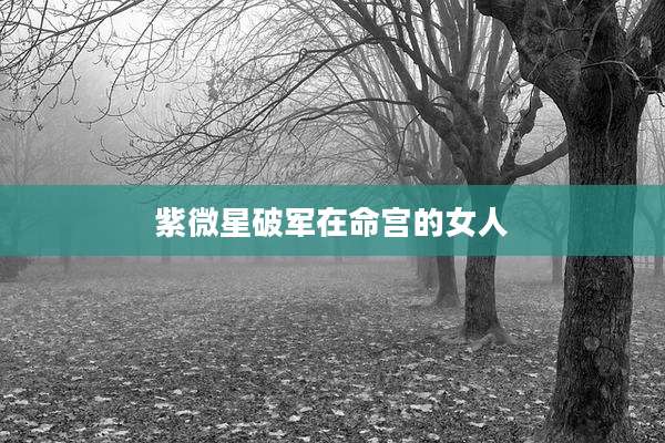 紫微星破军在命宫的女人