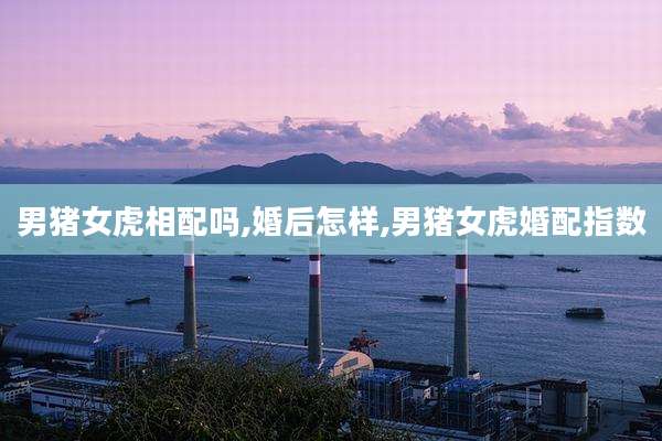 男猪女虎相配吗,婚后怎样,男猪女虎婚配指数