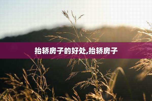 抬轿房子的好处,抬轿房子