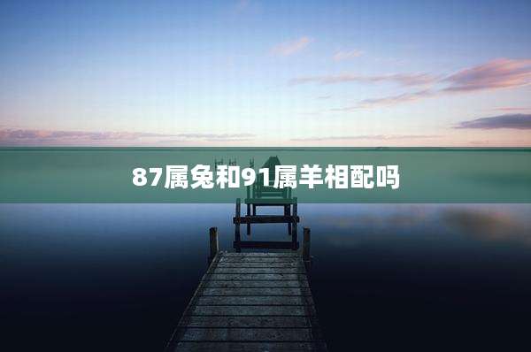 87属兔和91属羊相配吗