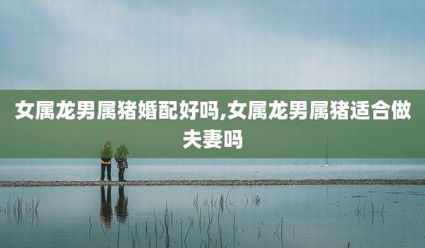 女属龙男属猪婚配好吗,女属龙男属猪适合做夫妻吗