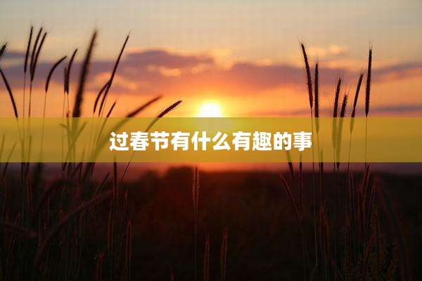 过春节有什么有趣的事