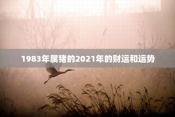 1983年属猪的2021年的财运和运势