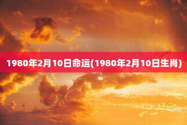 1980年2月10日命运(1980年2月10日生肖)